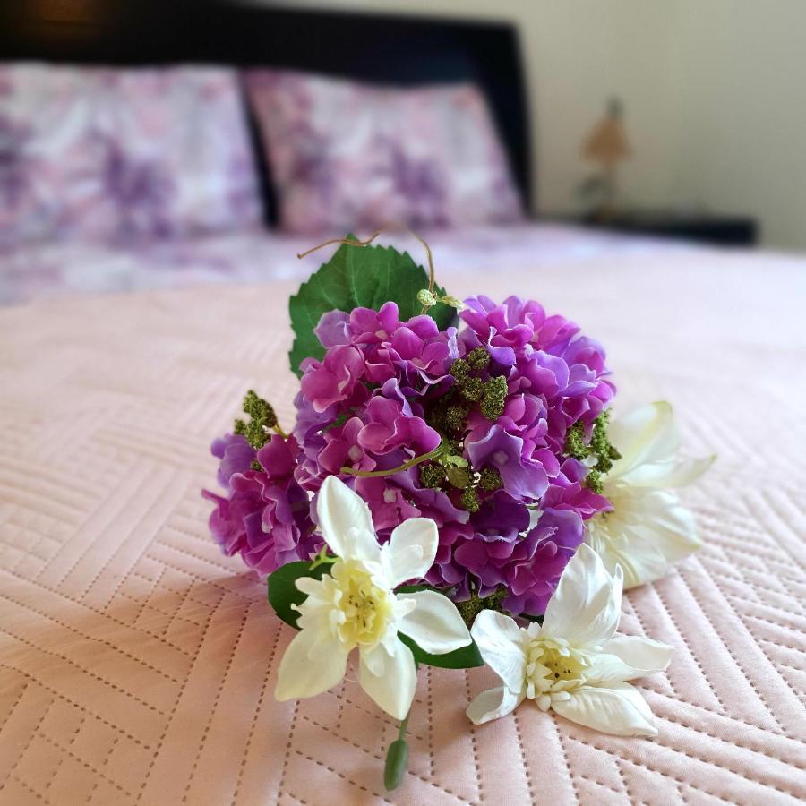 Owls Nest Townhouse Villa Paphos Luaran gambar