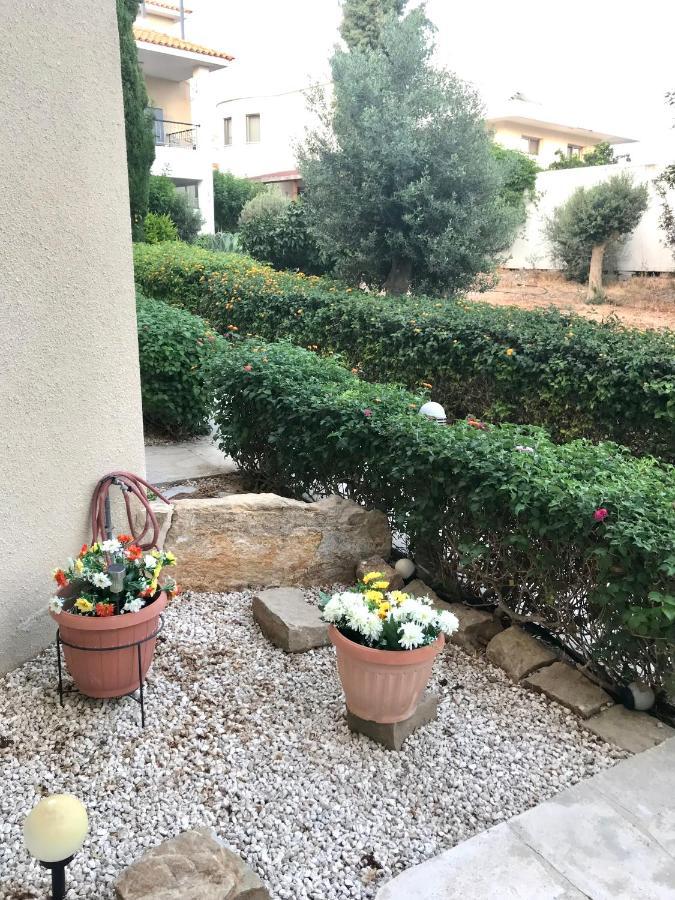 Owls Nest Townhouse Villa Paphos Luaran gambar